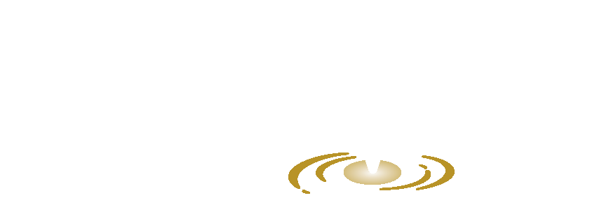 Image of metvix logo