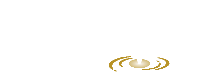 Image of metvix logo